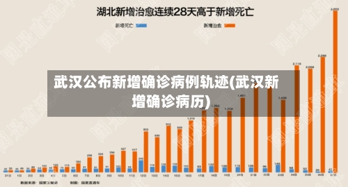 武汉公布新增确诊病例轨迹(武汉新增确诊病历)