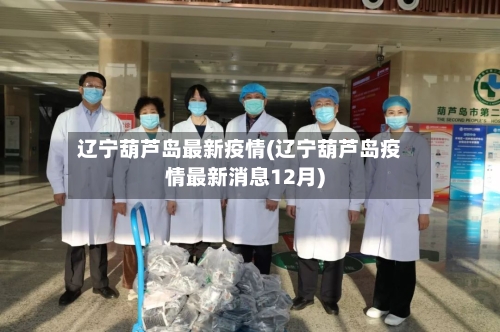 辽宁葫芦岛最新疫情(辽宁葫芦岛疫情最新消息12月)-第2张图片