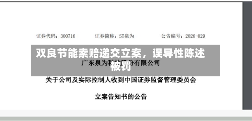 双良节能索赔递交立案，误导性陈述被罚-第2张图片