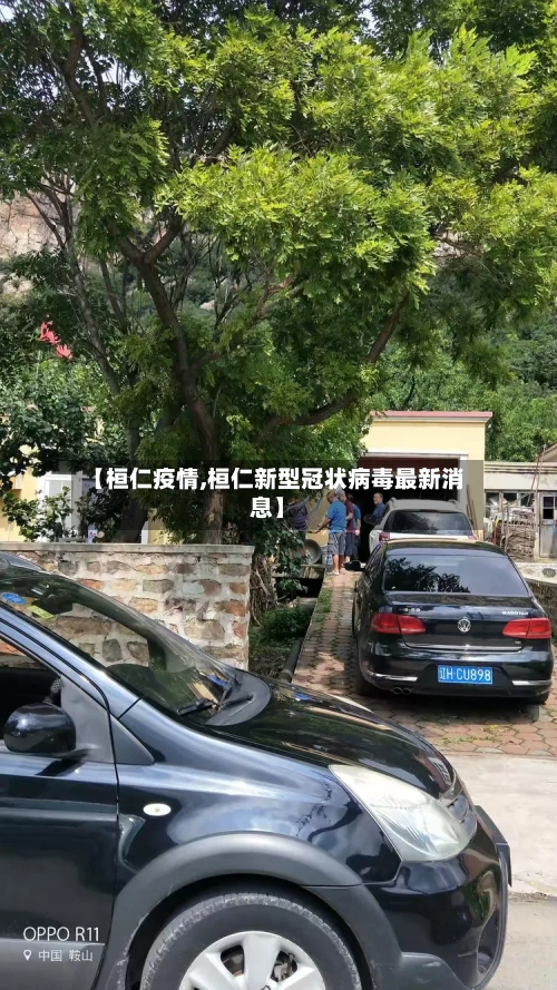 【桓仁疫情,桓仁新型冠状病毒最新消息】-第2张图片