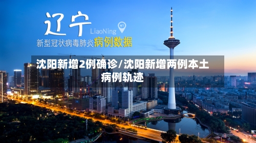沈阳新增2例确诊/沈阳新增两例本土病例轨迹-第2张图片