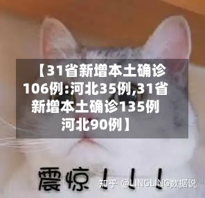 【31省新增本土确诊106例:河北35例,31省新增本土确诊135例河北90例】-第2张图片