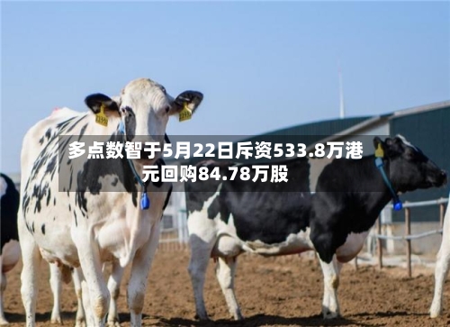 多点数智于5月22日斥资533.8万港元回购84.78万股-第2张图片